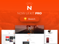 45% OFF Now UI Kit PRO Sketch