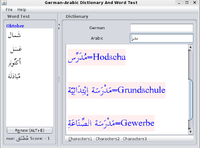 30% OFF German-Arabic Joyful Dictionary With Word Test